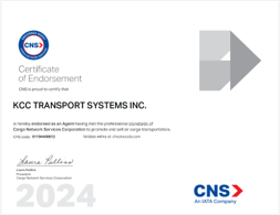 IATA Accredited Agent (via CNS)